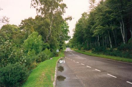 Scaniport, Richtung Inverness, 29kB